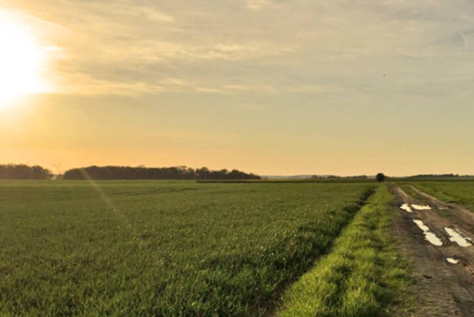 l'agriculture du fur se dessine actuellement