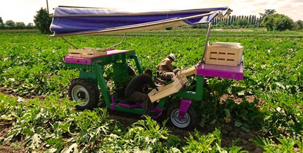 Le ponchon est un robot agricole