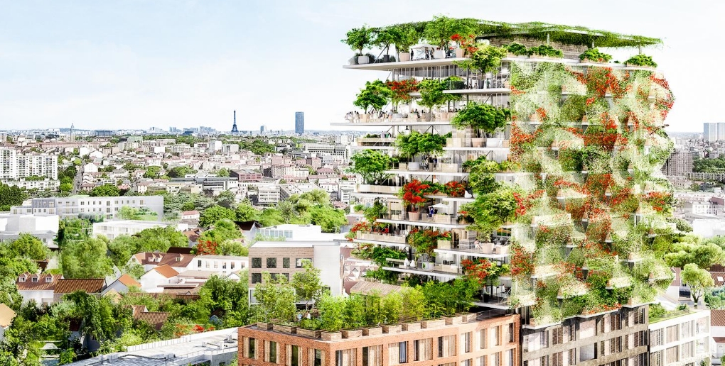 vue d'artiste de projet d'immeuble végétalisé par la société topager