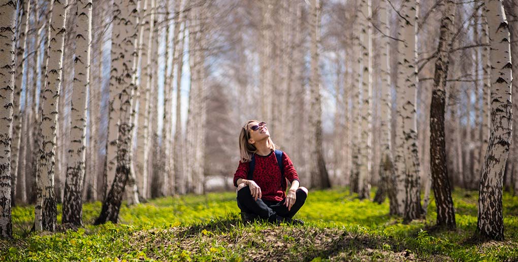 jeune femme assise au milieu de plusieurs arbres