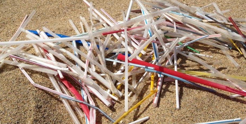 des pailles en plastique retrouvées sur une plage