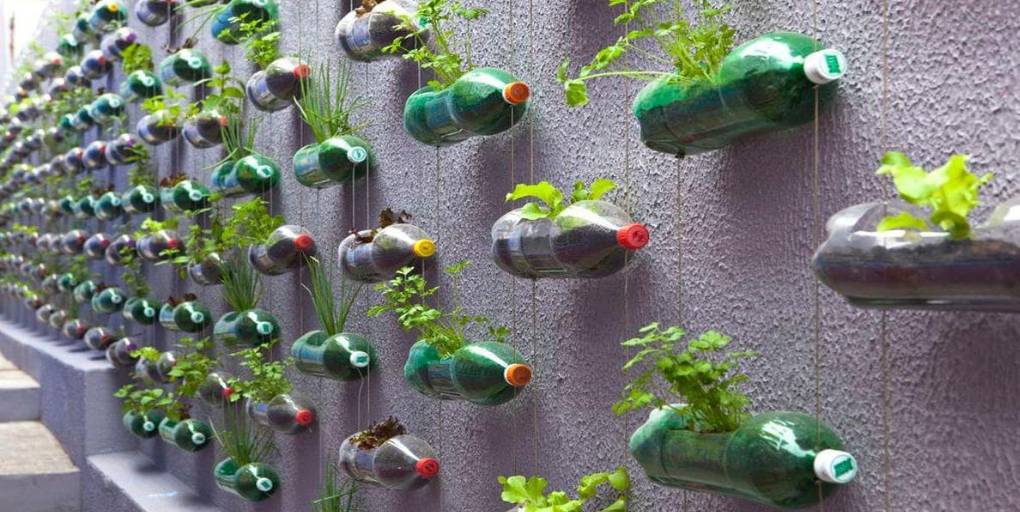 mur végétal bouteilles recyclées