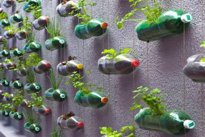 mur végétal bouteilles recyclées