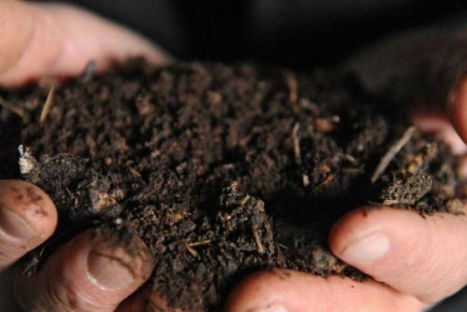 compost