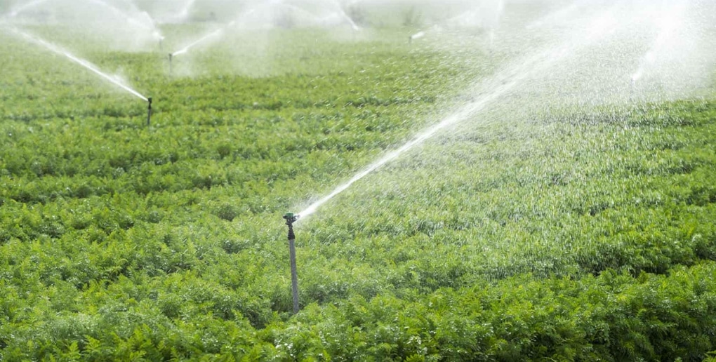 système d'irrigation dans un champ