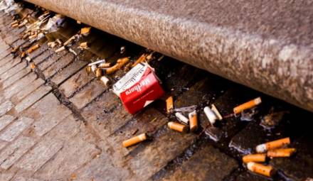 des mégots de cigarettes sur la voie publique